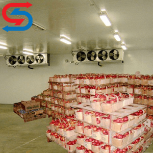 سردخانه نگهداری سیب