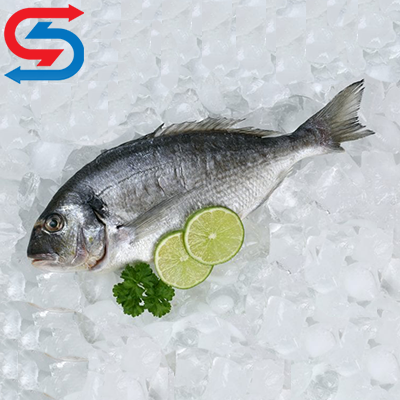 سردخانه نگهداری ماهی