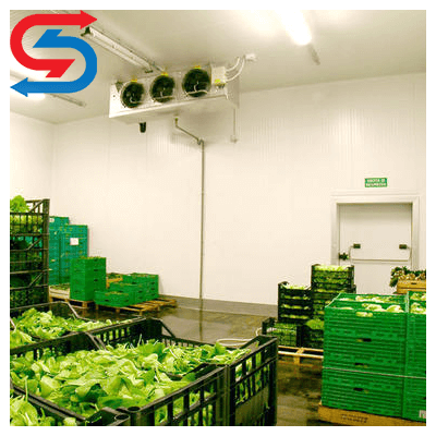 سردخانه فریونی