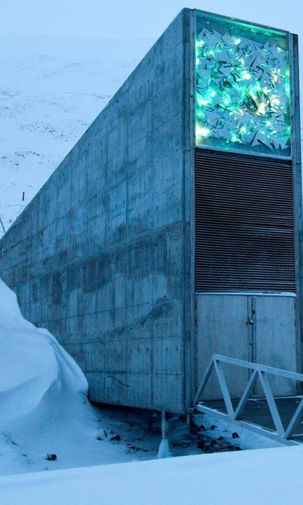 خزانه جهانی بذر سوالبارد