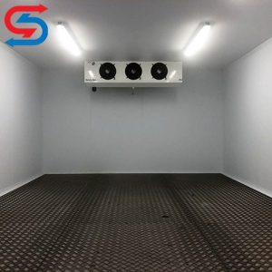 نگهداری انجیر در سردخانه