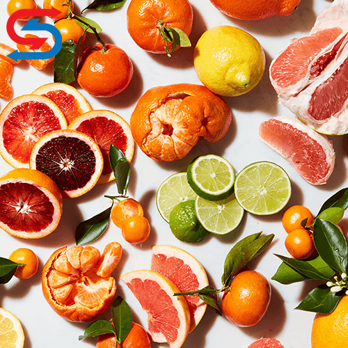 ساخت سردخانه مرکبات