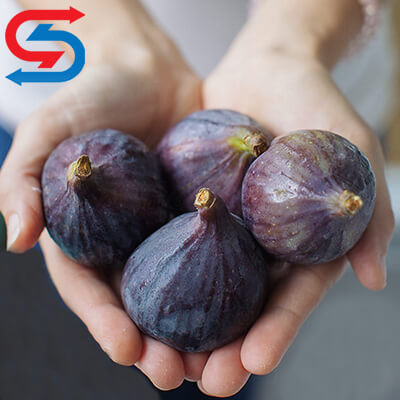 نگهداری انجیر در سردخانه