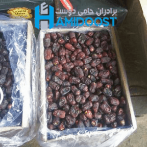 طراحی و ساخت سردخانه خرما