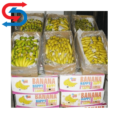 سردخانه موز تهران