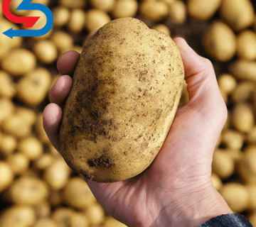 سردخانه سیب زمینی