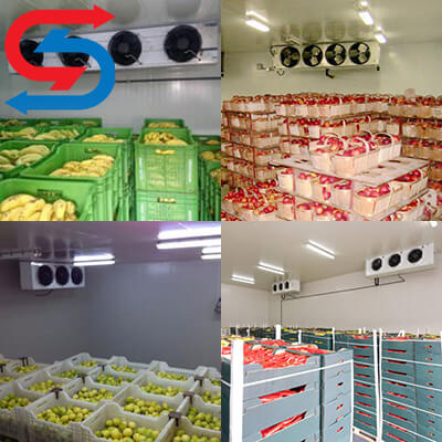 تسهیلات برای احداث سردخانه