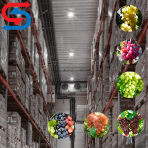 سردخانه نگهداری انگور