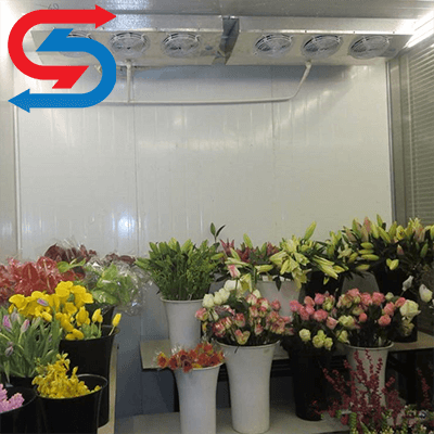سردخانه نگهداری گل و گیاه