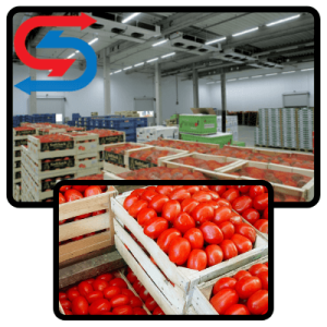 نگهداری گوجه فرنگی در سردخانه