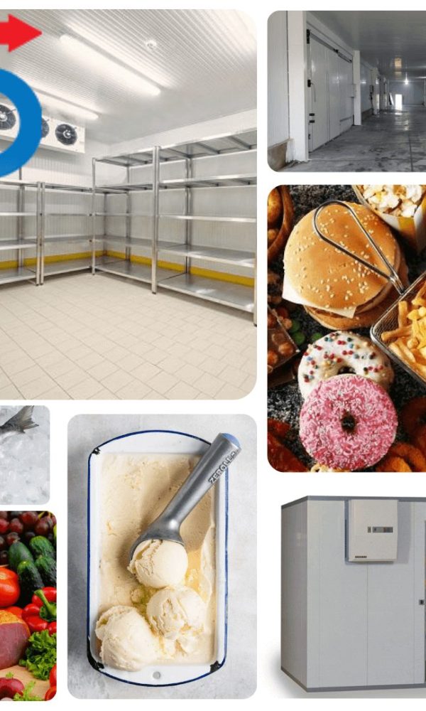 انواع فساد مواد غذایی