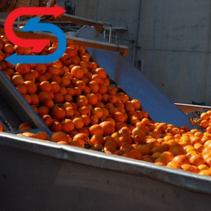 سردخانه پرتقال ساری