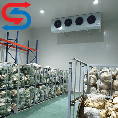 هزینه ساخت سردخانه 3000 تنی