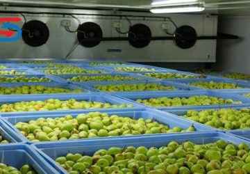 هزینه ساخت سردخانه میوه