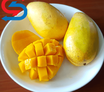 نگهداری انبه در سردخانه