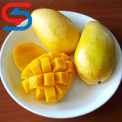 نگهداری انبه در سردخانه