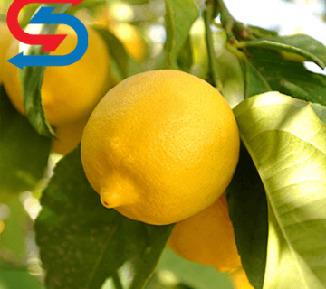 نگهداری لیمو سنگی در سردخانه